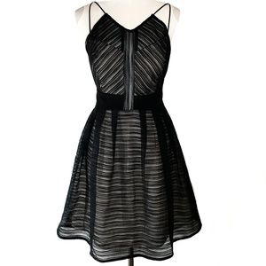 NWT: Sexy Little Black Dress